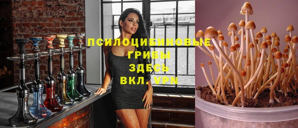 хмурый Алексеевка